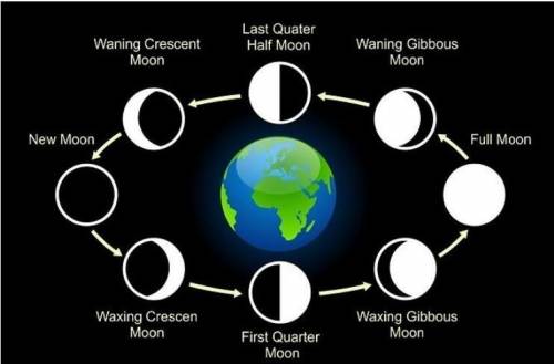 1-explain different phases of moon ?