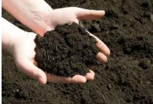 Define soil in 10 20 words
