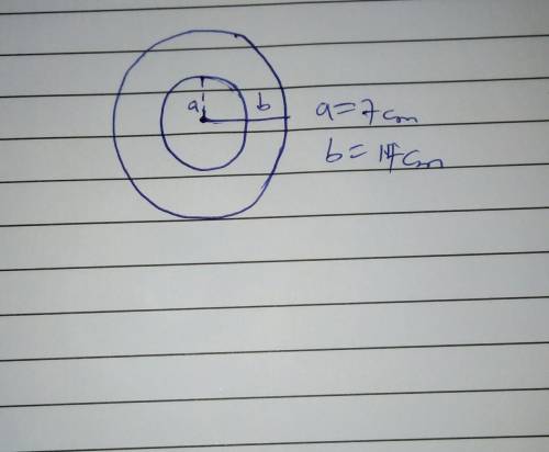 Q1. Calculate the area and perimeter of the following ring where a = 7cm, b = 14cm (i) Area of Ring: