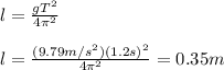 l=\frac{gT^2}{4\pi^2}\\\\l=\frac{(9.79m/s^2)(1.2s)^2}{4\pi^2}=0.35m