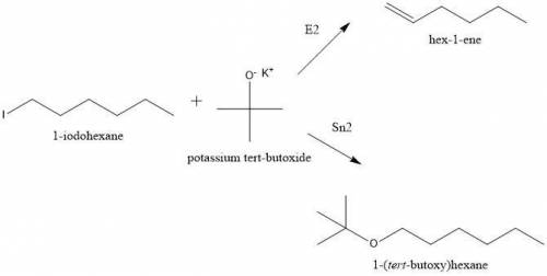 Predict the two most likely mechanisms for the reaction of 1-iodohexane with potassium tert-butoxide