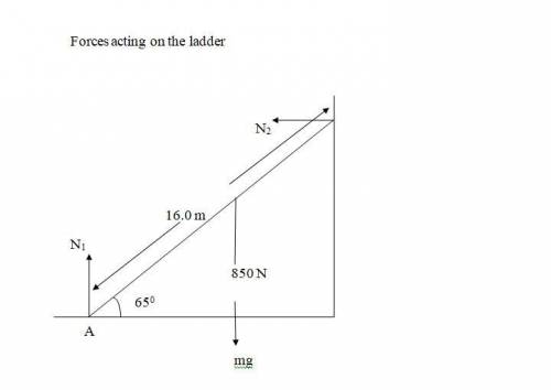 A 16.0-m uniform ladder weighing 520 N rests against a frictionless wall. The ladder makes a 65.0° a
