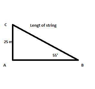 Mr. V went flying a kite. The angle of elevation of the string with the ground is 55

degrees. If th