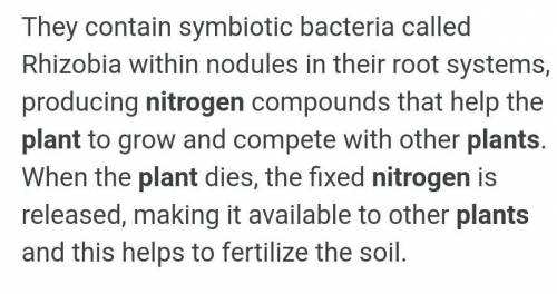 Why is nitrogen fixation so important?