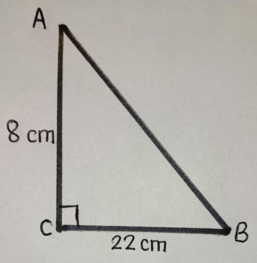 Using Pythagoras theorem work out the length of AB

ABC is a triangle, 1 side is 22 cm 1 side is 8 c