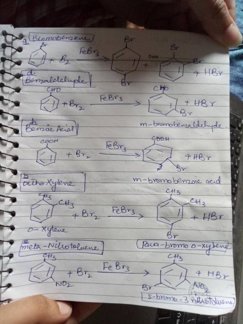 Draw the major product(s) obtained when the following compounds are treated with bromine in the pres