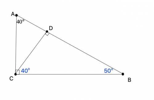In ∆ABC, m∠ACB = 90°, m∠A = 40°, and D ∈ AB such that CD is perpendicular to side AB. Find m∠DBC and