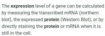How can you guarantee a high expression of your protein in any expression vector?