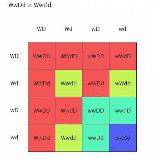 In imaginary fruit, white fruit color (W) is dominant over yellow fruit color (w) and disk-shaped fr