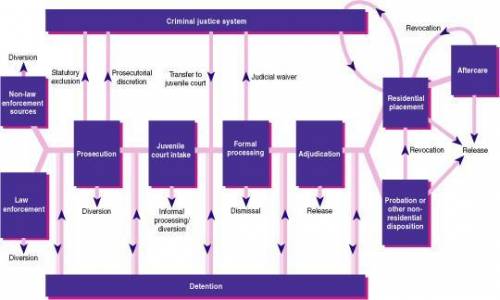 Which phrase best completes the diagram of the juvenile criminal justice
process?