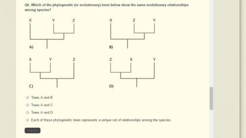Which of the phylogenetic (or evolutionary) trees below show the same evolutionary relationships amo