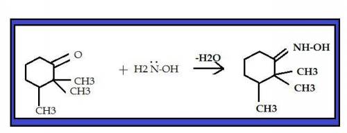 What will be formed when 2,2,3-trimethylcyclohexanone reacts with hydroxylamine?