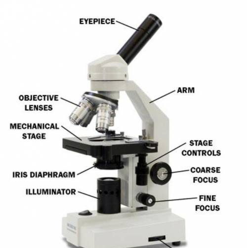 How many lenses do microscopes have?