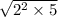 \sqrt{2^{2} \times 5 }