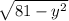 \sqrt{81 - y^2}