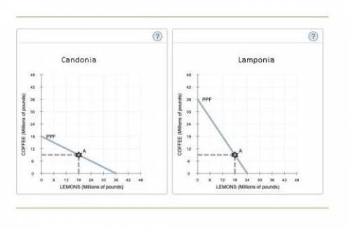 Candonia has a comparative advantage in the production of , while lamponia has a comparative advanta