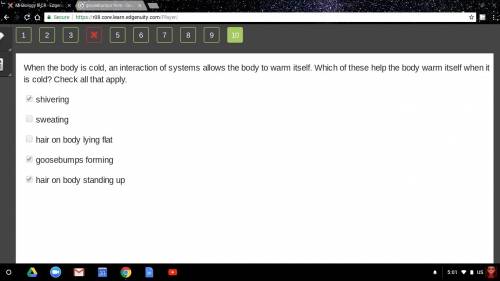 When the body is cold, an interaction of systems allows the body to warm itself. which of these  the