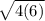 \sqrt{4(6)}