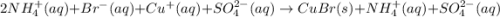2NH_4^+(aq)+Br^-(aq)+Cu^+(aq)+SO_4^{2-}(aq)\rightarrow CuBr(s)+NH_4^+(aq)+SO_4^{2-}(aq)