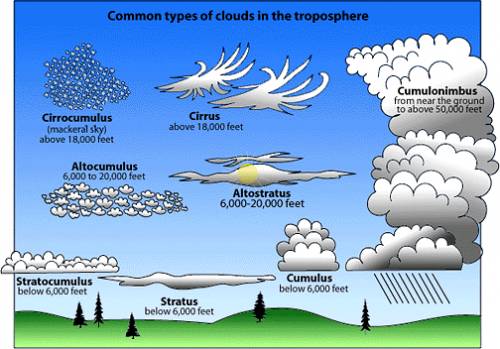 How many cloud types there is?
