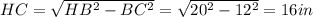 HC=\sqrt{HB^2-BC^2}=\sqrt{20^2-12^2}=16in