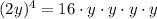 (2y)^4=16\cdot y\cdot y\cdot y\cdot y