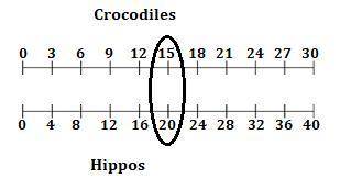 The ratio of the number of hippos to the number of crocodiles at a watering hole is 4:3. If you draw