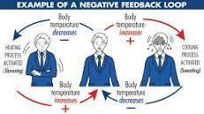 What is negative biofeedback?