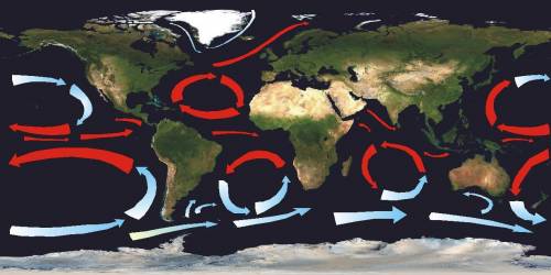 The map below shows the direction of ocean currents near North America.

Why do the ocean currents c