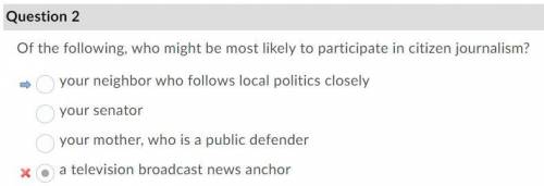 Of the following, who might be most likely to participate in citizen journalism?

A. a television br