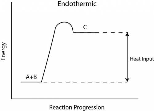 Which statement describes an endothermic reaction?