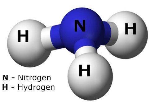 Which model represents a molecule of ammonia, NH3?
