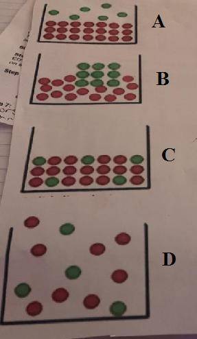 Identify each of the pictures as heterogeneous or homogeneous