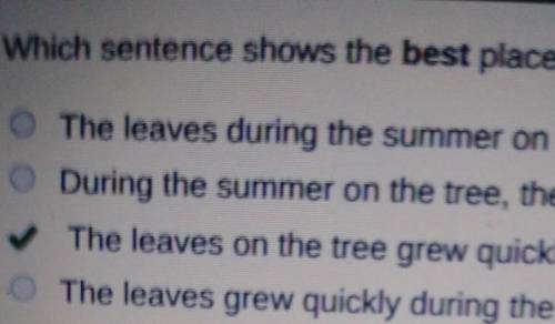 Which sentence shows the best placement for the modifier “on the tree”?

A.The leaves during the sum