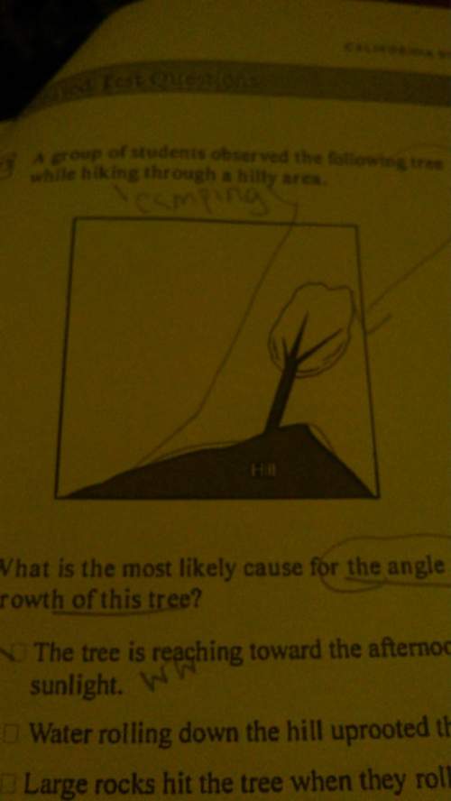 Agroup of students observed the following tree while hiking a hilly area. what is the most likely ca