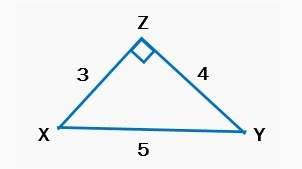 What side is adjacent to angle y?  xz zy yx none of the above