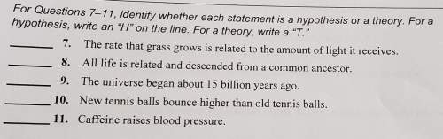 Can someone me with these hypothesis or theory questions