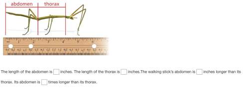 The diagram shows an insect called a walking stick. use the ruler to estimate the length of the abdo