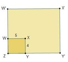 Rectangle wxyz was dilated using the rule . what is w'x'?  8 units 10 units 12 uni