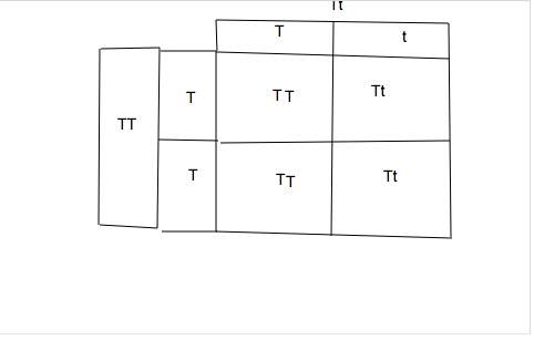 In the punnett square shown in figure 11-1 which of the following is true about the offspring?
