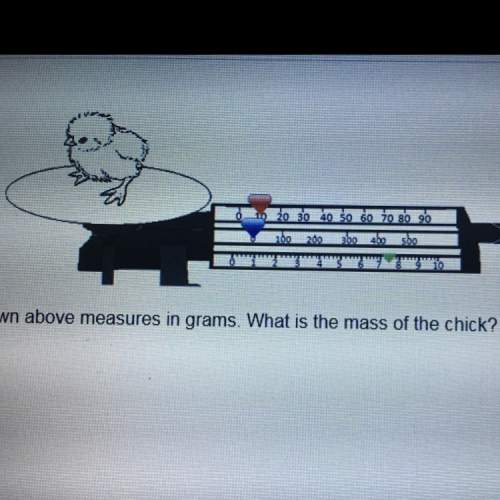 The triple beam balance shown above measures in grams what is the mass of the chick ?  a- 10