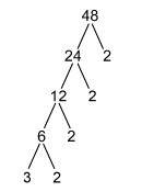Which two factor trees show the prime factorization of 48?  a. b