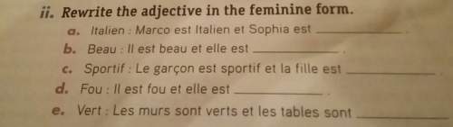 Rewrite the adjective before the : in the feminine form.☺
