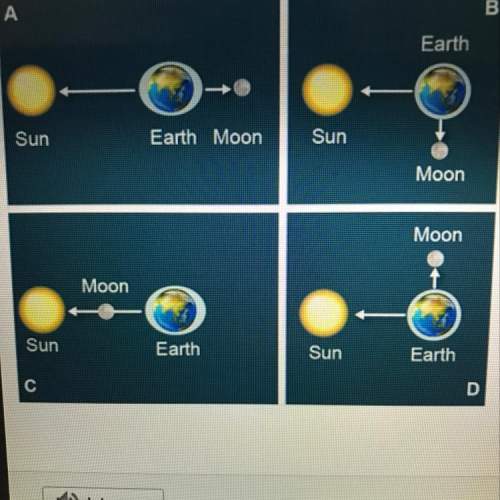 Use the drop-down menus to choose the correct answers about tides and phases of the moon.