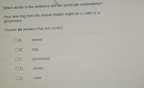 Which words in the sentence is the predicate nominative your new dog from the animals shelter might