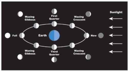 During a new moon, the moon is a) in between earth and the sun.  b) in front of th