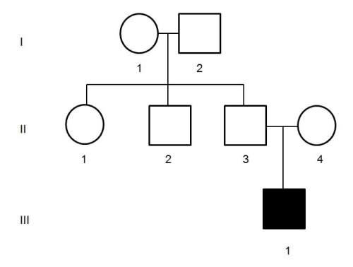 Describe the relationship between i 1 and iii 1 shown in the pedigree show. (written i 1 / iii 1)