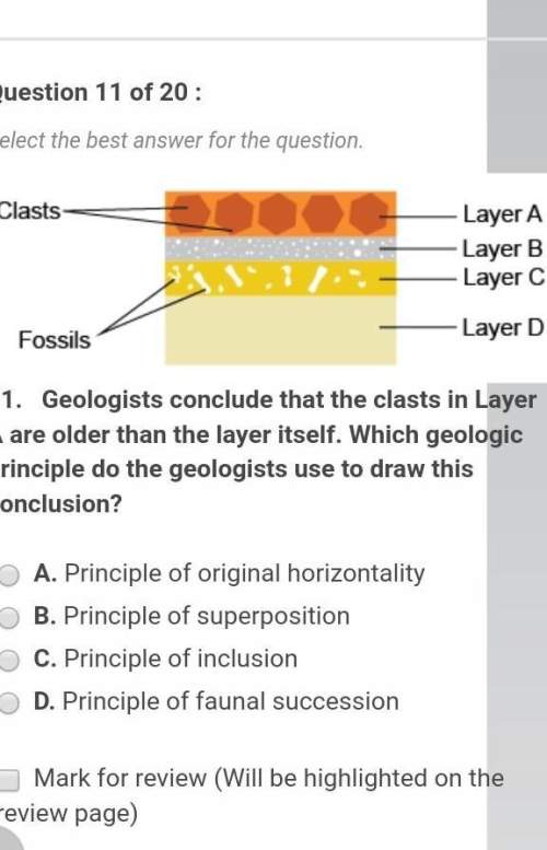 Geologists conclude that the clasts in layer a are older than the layer itself. which geologic princ