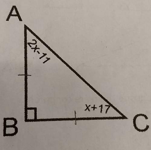 Solve for x. i need the answer