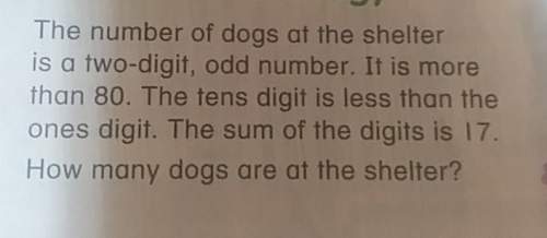 The number of dogs at the shelter is a two digit, odd number. it is more than 80 . the tens digit is